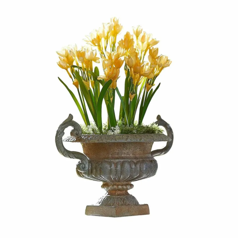 Übertöpfe & Amphoren^LOBERON Amphore Iverlon