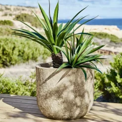 Übertöpfe & Amphoren^LOBERON Übertopf Ela