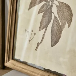 Bilder|Dekoration^LOBERON Bild 2er Set Guyra