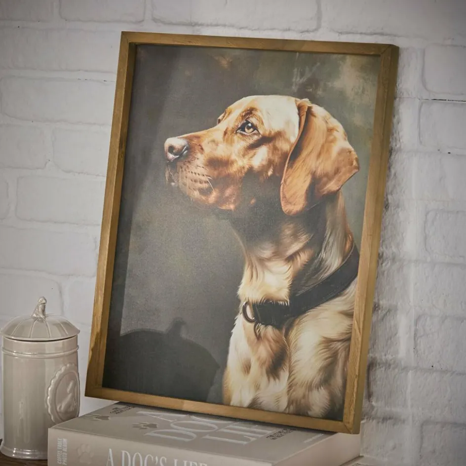 Accessoires & Spielzeug|Accessoires Für Haustiere^LOBERON Bild Purrana