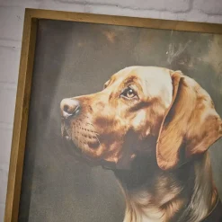 Accessoires & Spielzeug|Accessoires Für Haustiere^LOBERON Bild Purrana