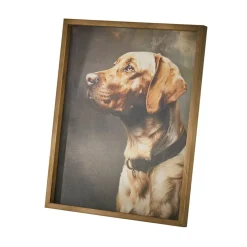 Accessoires & Spielzeug|Accessoires Für Haustiere^LOBERON Bild Purrana