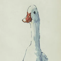 Bilder|Dekoration^LOBERON Bild Sunnyo