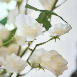 Kunst- & Trockenblumen|Dekoration^LOBERON Blume 6er Set Clavigny