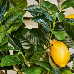 Kunst- & Trockenblumen^LOBERON Deko-Baum Darfield