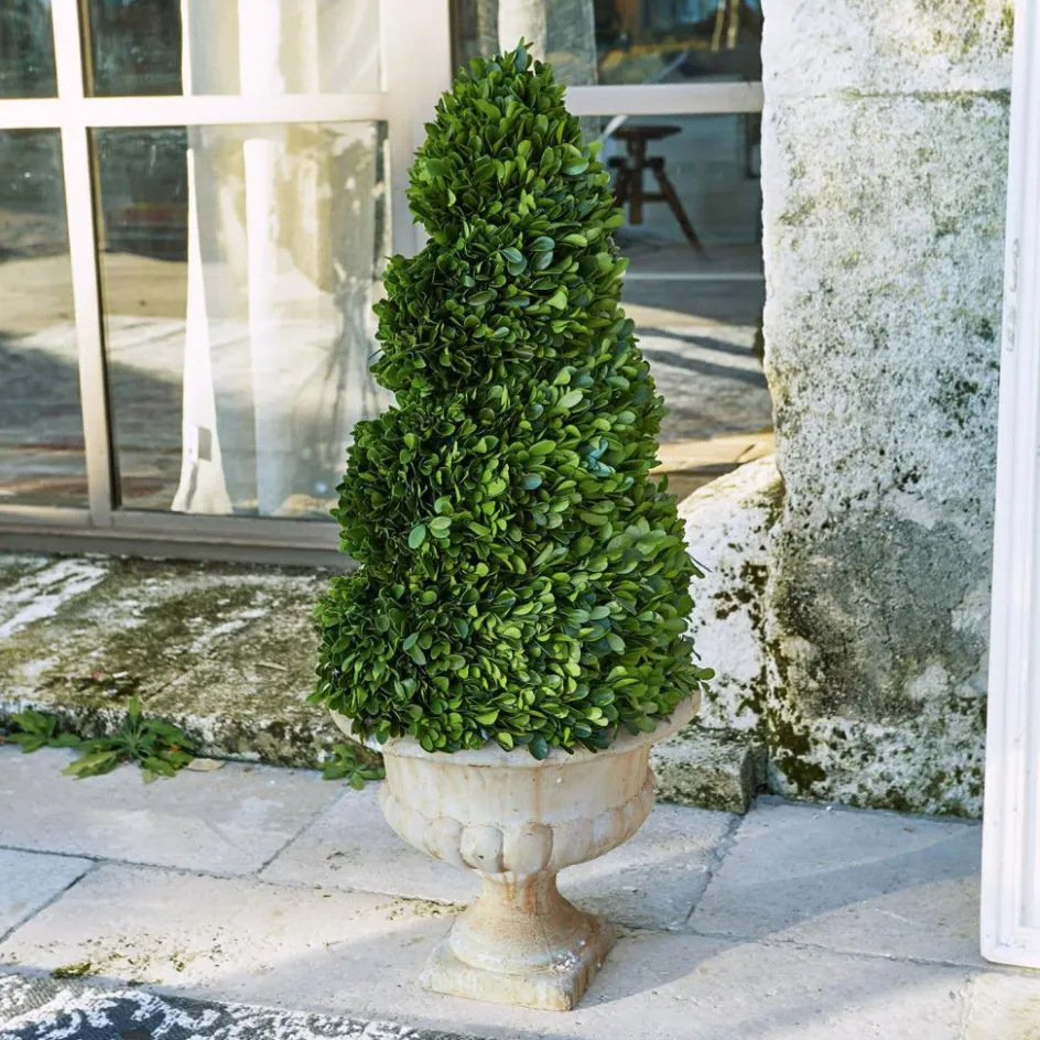 Kunst- & Trockenblumen^LOBERON Deko-Baum Humbria