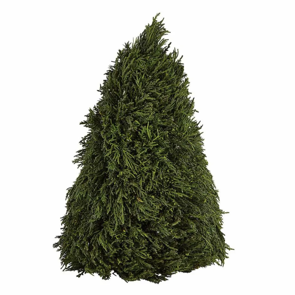 Kunst- & Trockenblumen|Dekoration^LOBERON Deko-Baum Moran