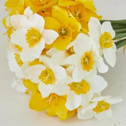 Kunst- & Trockenblumen|Dekoration^LOBERON Deko-Blume 12er Set Misapina