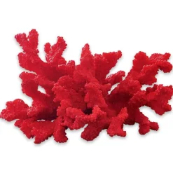 Dekoobjekte|Dekoration^LOBERON Deko-Koralle Reddish