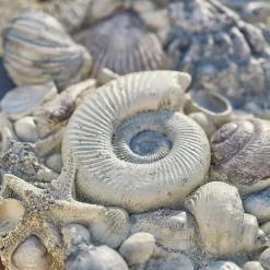 Dekoobjekte|Dekoration^LOBERON Deko-Muscheln Potnarvin