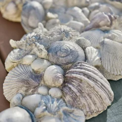 Dekoobjekte|Dekoration^LOBERON Deko-Muscheln Potnarvin