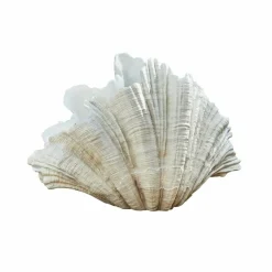 Dekoobjekte|Dekoration^LOBERON Deko-Objekt Gella