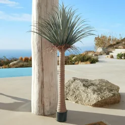 Kunst- & Trockenblumen|Dekoration^LOBERON Deko-Palme Remivon