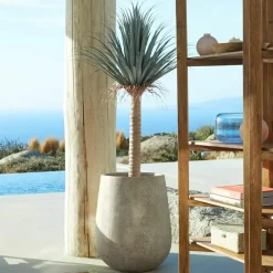 Kunst- & Trockenblumen|Dekoration^LOBERON Deko-Palme Remivon