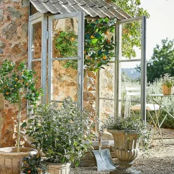 Kunst- & Trockenblumen|Dekoration^LOBERON Deko-Pflanze Delbart