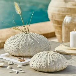 Gartendekoration^LOBERON Deko-Seeigel 2er Set Kimbar