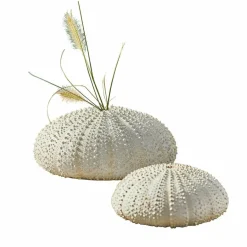 Gartendekoration^LOBERON Deko-Seeigel 2er Set Kimbar