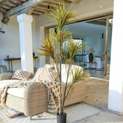 Kunst- & Trockenblumen|Dekoration^LOBERON Deko-Topfpflanze Ancerac