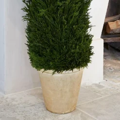 Gartendekoration^LOBERON Deko-Topfpflanze Arras