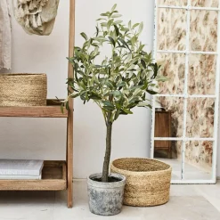 Kunst- & Trockenblumen|Dekoration^LOBERON Deko-Topfpflanze Mariuccia