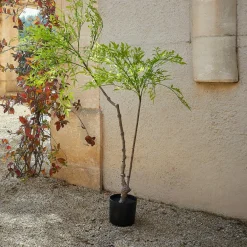 Kunst- & Trockenblumen^LOBERON Deko-Topfpflanze 2.Wahl Avenelle