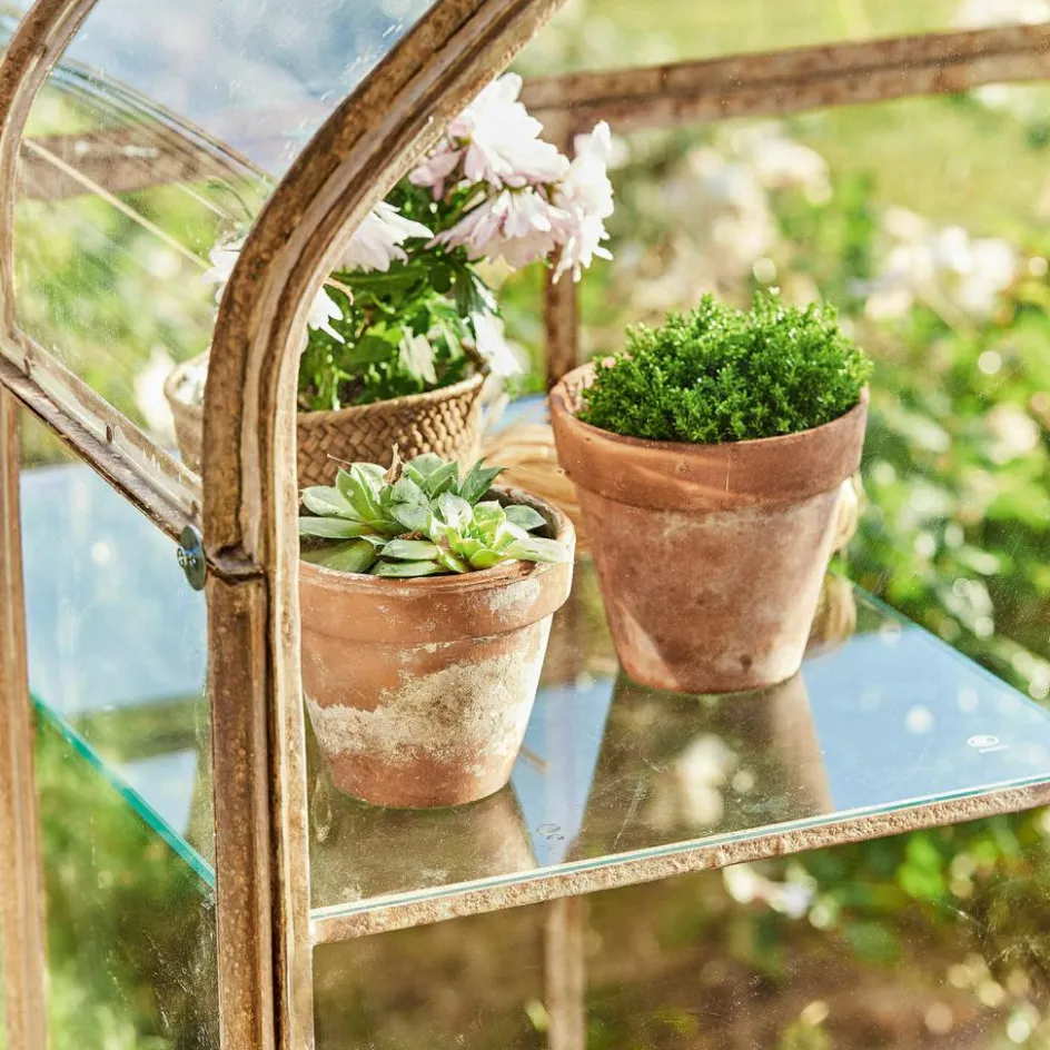 Gewächshäuser^LOBERON Gewächshaus Belfaux