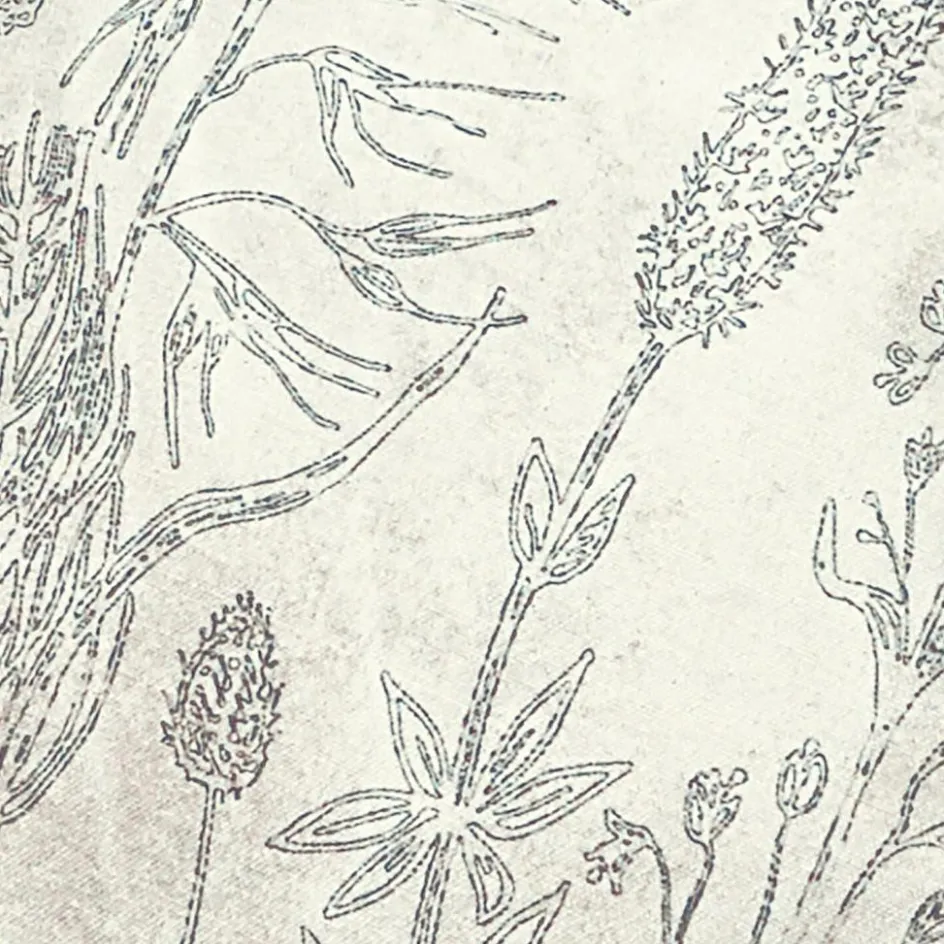 LOBERON Kissenhüllen|Kissen & Kissenhüllen-Kissenhülle 2er Set Eleonoire