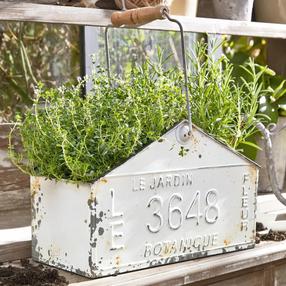 Körbe & Kisten|Übertöpfe^LOBERON Korb Botanique