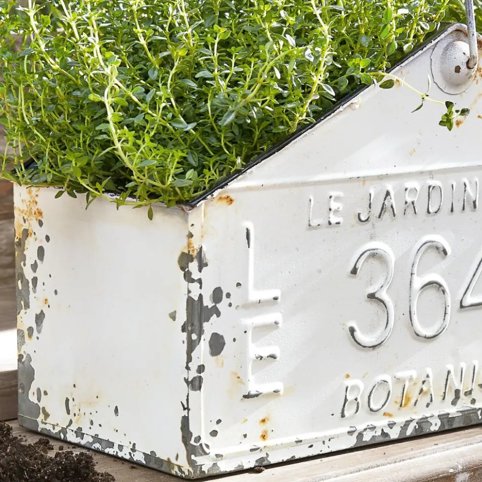 Körbe & Kisten|Übertöpfe^LOBERON Korb Botanique