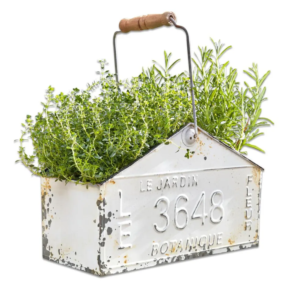 Körbe & Kisten|Übertöpfe^LOBERON Korb Botanique