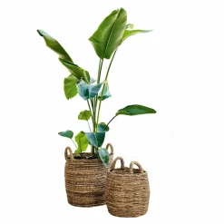 Körbe & Kisten|Aufbewahrung^LOBERON Korb 2er Set Carlin