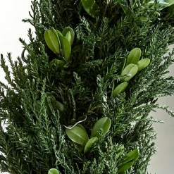 Kränze|Adventskranz^LOBERON Kranz Dahab