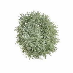 Kränze|Dekoobjekte^LOBERON Kranz Senailly