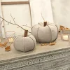 Dekoobjekte|Dekoration^LOBERON Kürbis 2er Set Nistalo