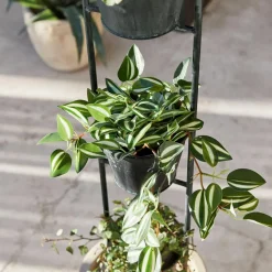 Übertöpfe & Amphoren^LOBERON Pflanzenständer Châtonnaye