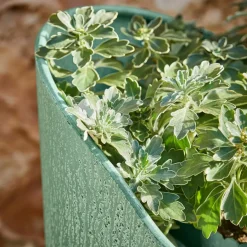 Übertöpfe^LOBERON Pflanzkasten Pavignac