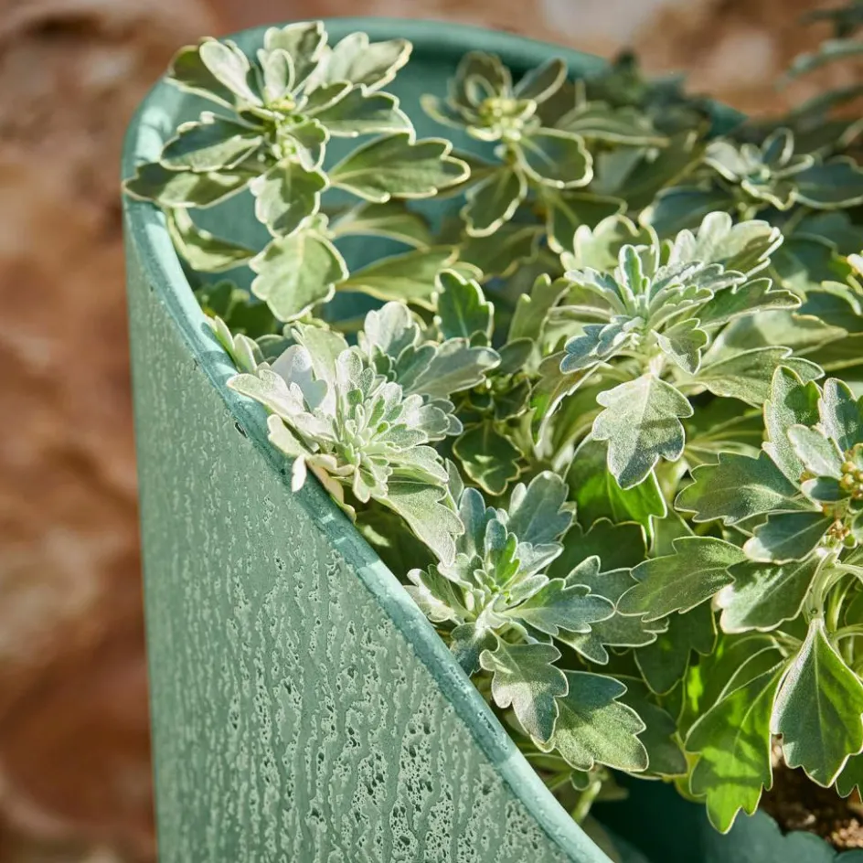 Übertöpfe^LOBERON Pflanzkasten Pavignac