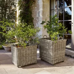 Übertöpfe & Amphoren^LOBERON Pflanzkorb 2er Set Gialousa