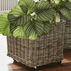 Übertöpfe & Amphoren^LOBERON Pflanzkorb 2er Set Gialousa