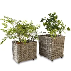 Übertöpfe & Amphoren^LOBERON Pflanzkorb 2er Set Gialousa