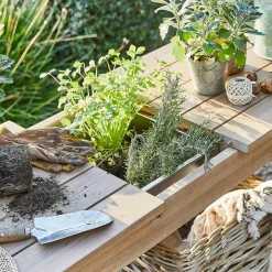 Pflanztische^LOBERON Pflanztisch FSC®-100% Venzone