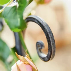 Rankhilfen^LOBERON Rankgitter Cyrille antikschwarz