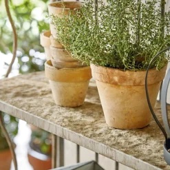 Pflanztische^LOBERON Regal Rentlor