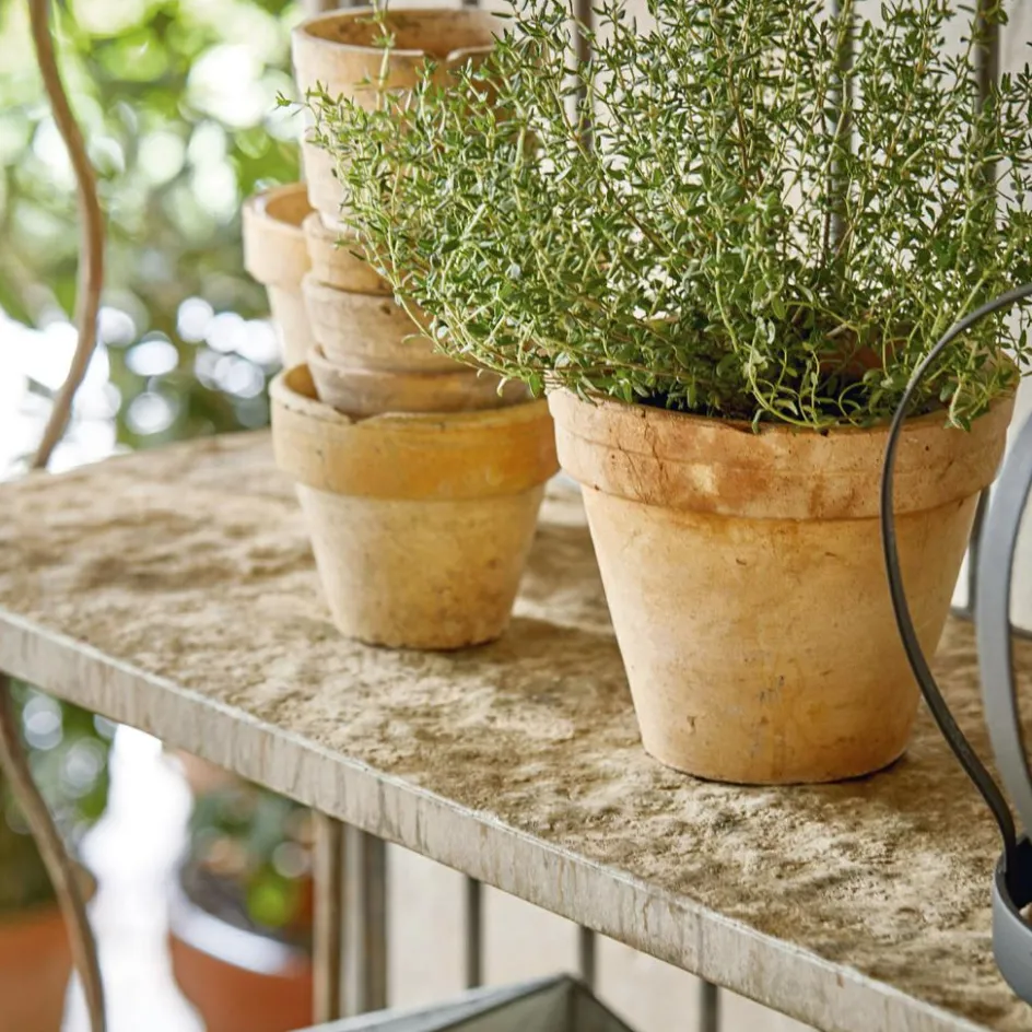 Pflanztische^LOBERON Regal Rentlor