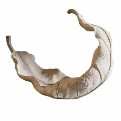 Schalen|Schalen & Dosen^LOBERON Schale Vibius