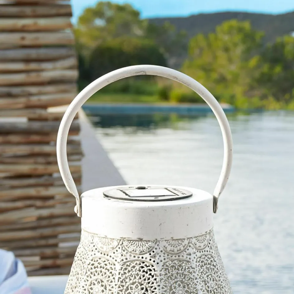 Led-Laternen|Solarlampen^LOBERON Solar-Laterne Carouge