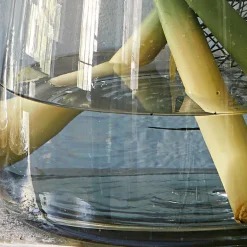 Vasen|Vasen & Übertöpfe^LOBERON Vase Inga