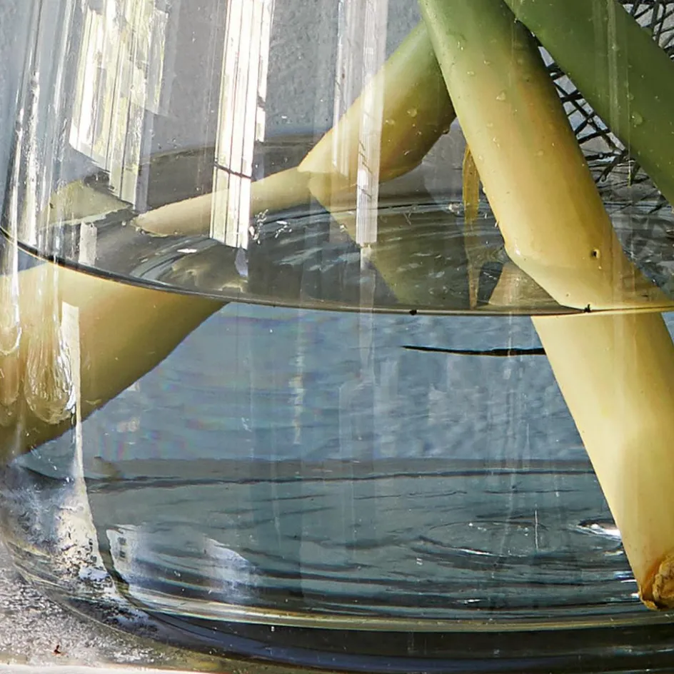 Vasen|Vasen & Übertöpfe^LOBERON Vase Inga