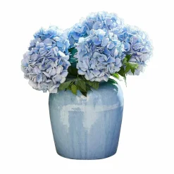 Vasen|Vasen & Übertöpfe^LOBERON Vase Uxemir