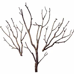 Wandobjekte|Dekoration^LOBERON Wand-Deko Osservante